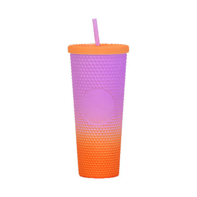 Colecções Tumbler com tampa e palha isolado copos acrílicos de parede dupla