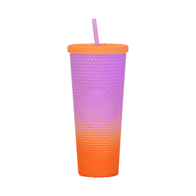 Colecções Tumbler com tampa e palha isolado copos acrílicos de parede dupla